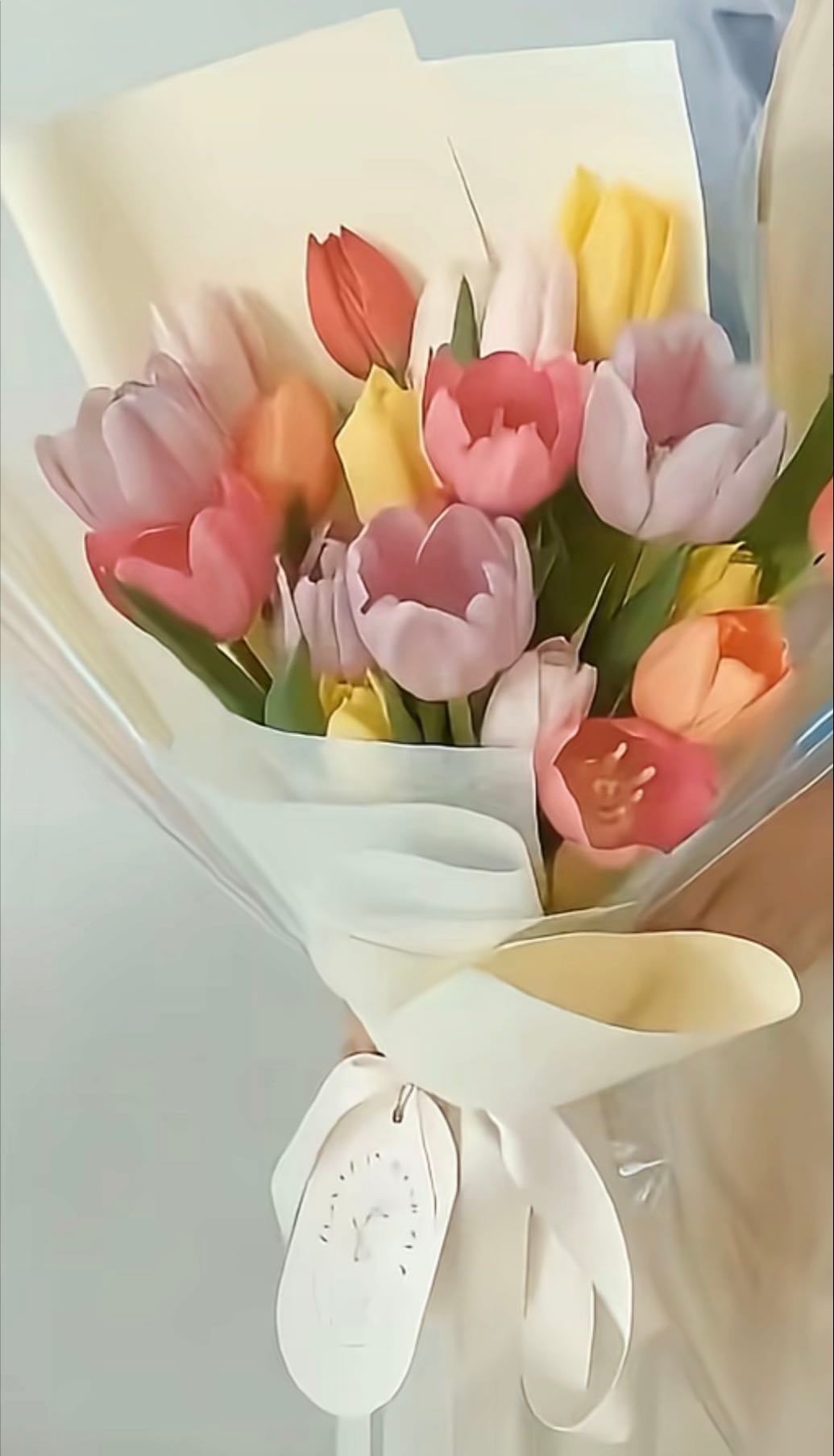 Tulipanes - Me encantan pero me enoja lo caros que son y lo rápido q se mueren