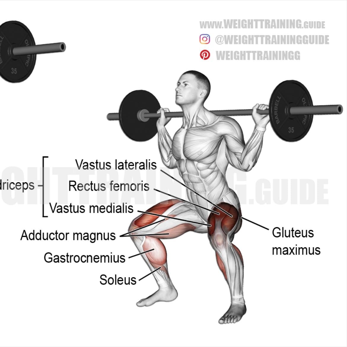 barbell back squat - on both sides combined