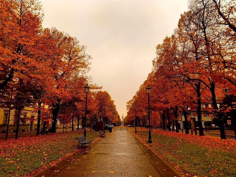 turin