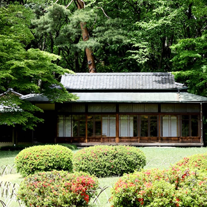 Meji Jingu Garden - Tokyo