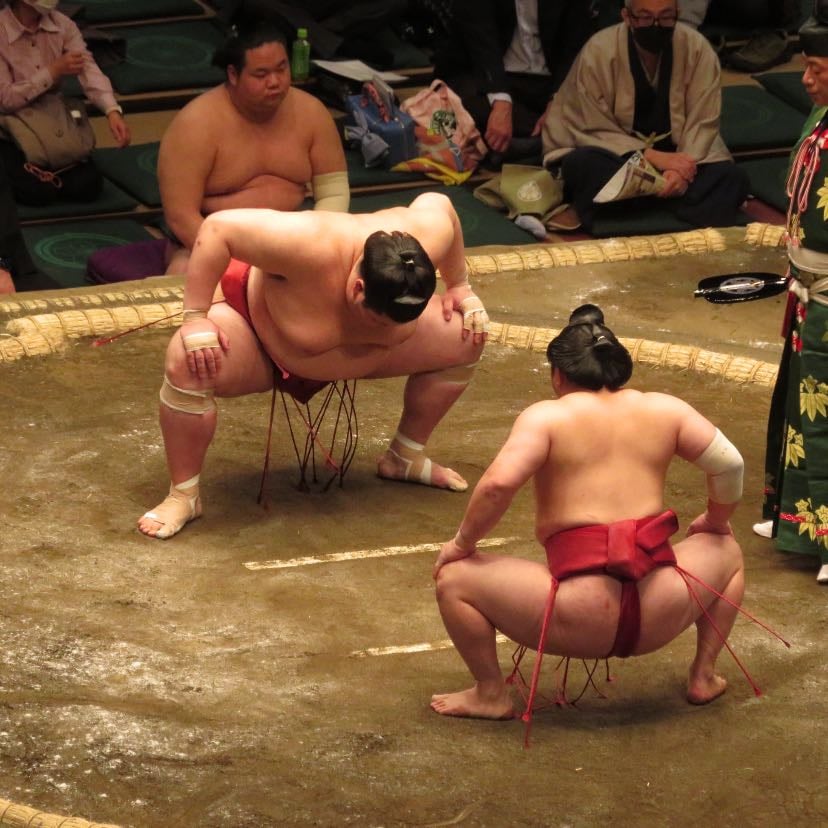 Sumo Fight