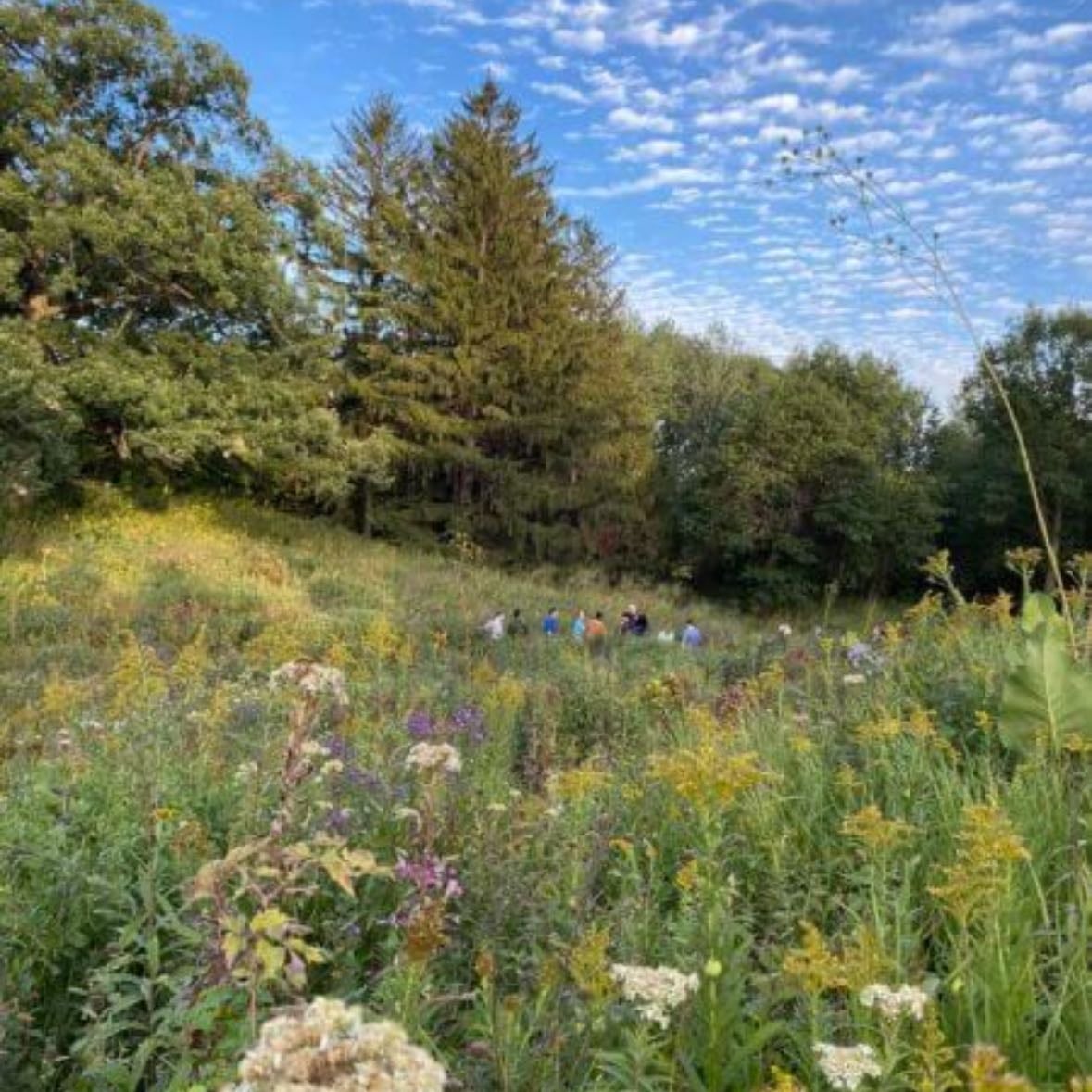 Eloise Butler Wildflower Sanctuary