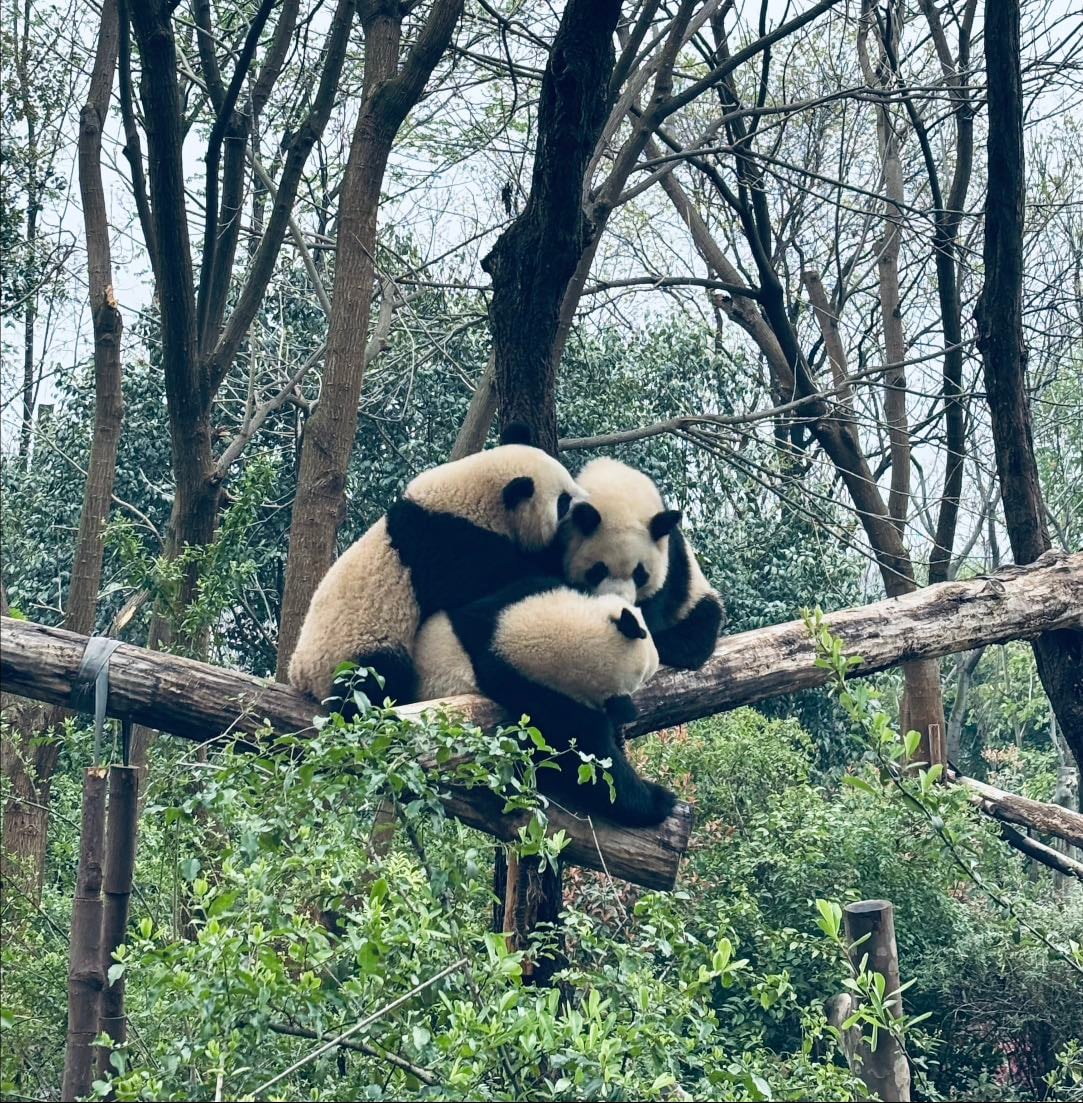 China