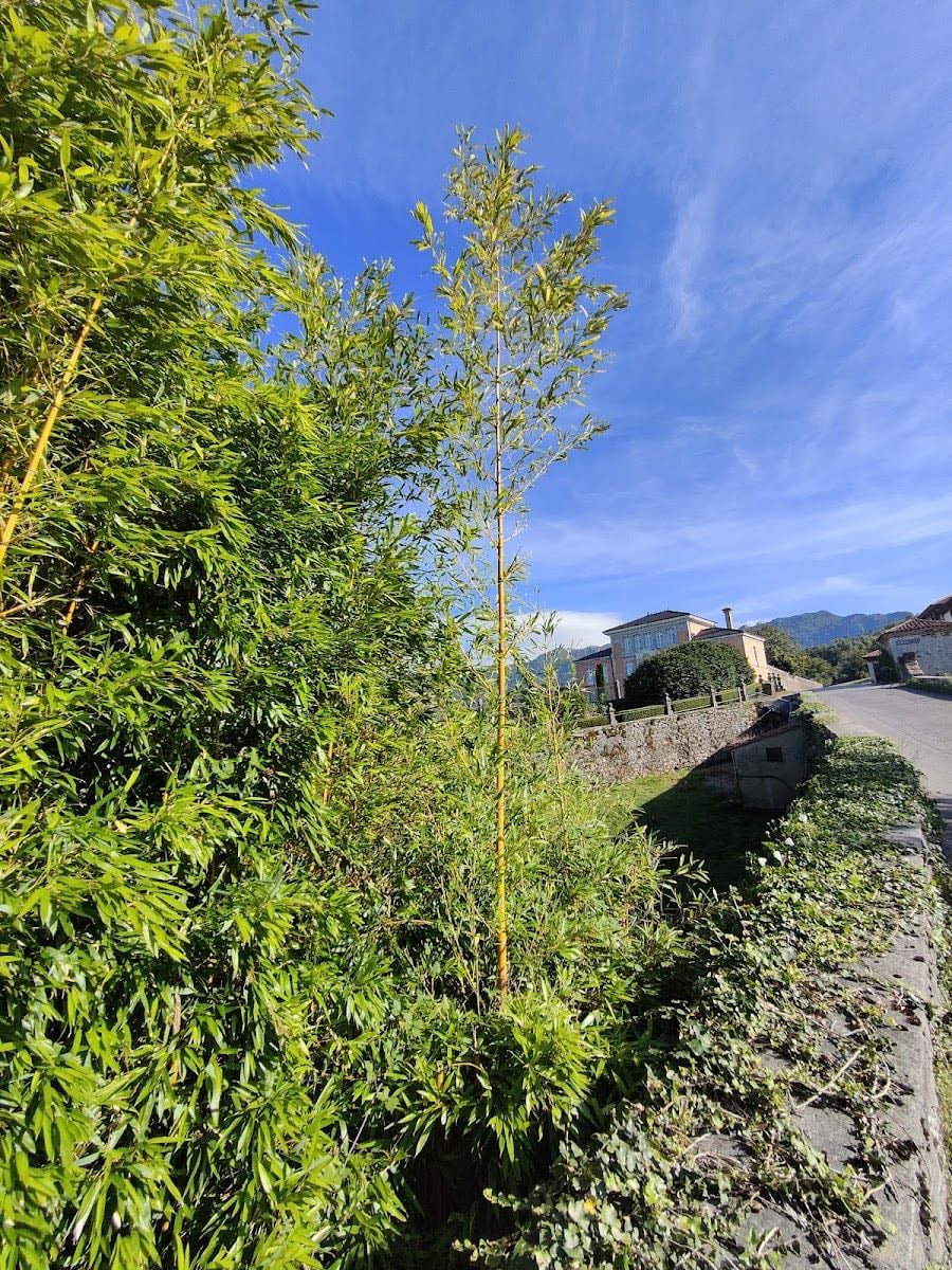 La Huertona