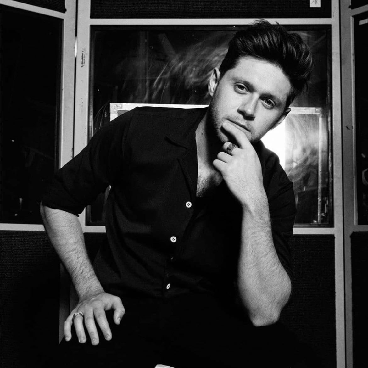 Niall Horan - Niall Horan is my favourite artist because he is so selfless and just saved me from hard days