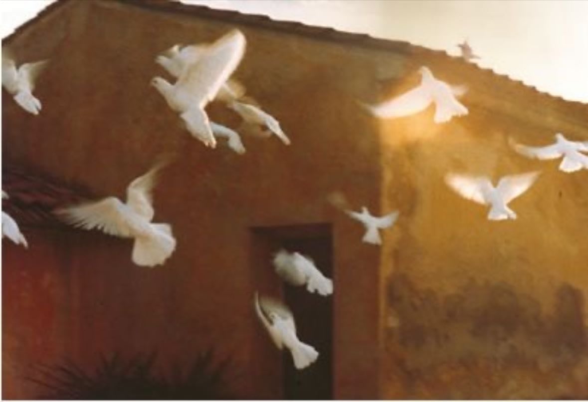 The Hunger Games - Suzanne Collins · 2009