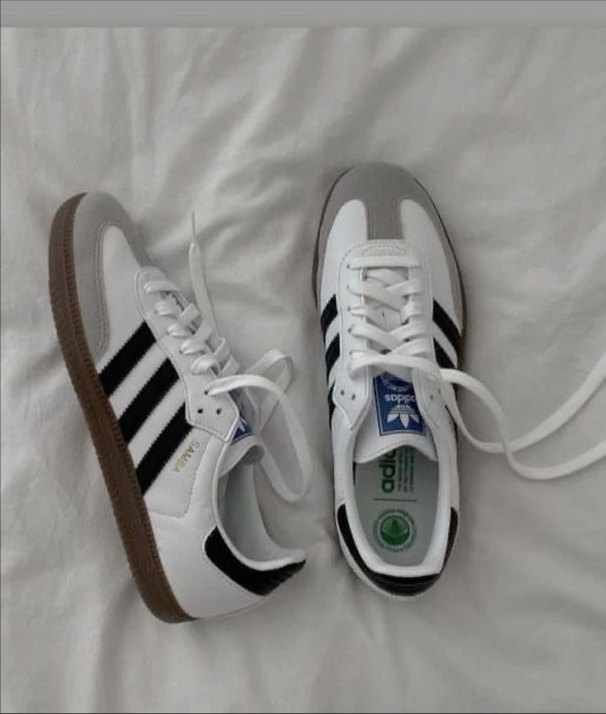 black and white samba