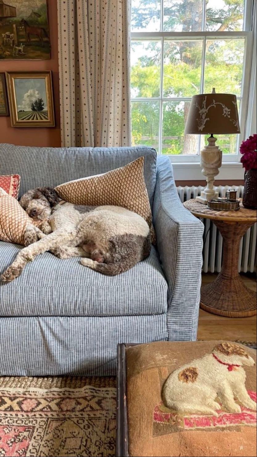 white/patterned couch