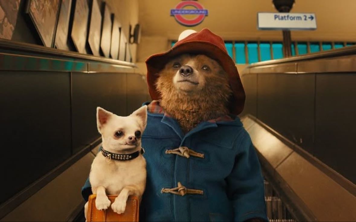 paddington - paddington