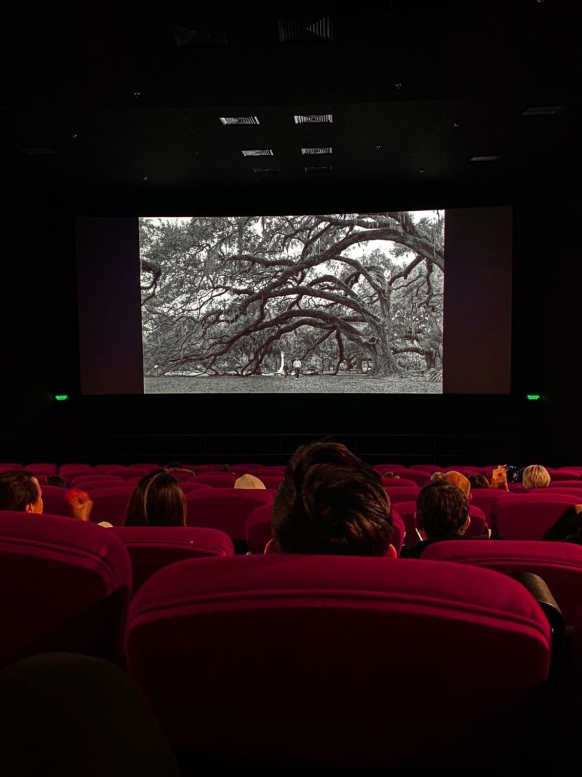 cinema