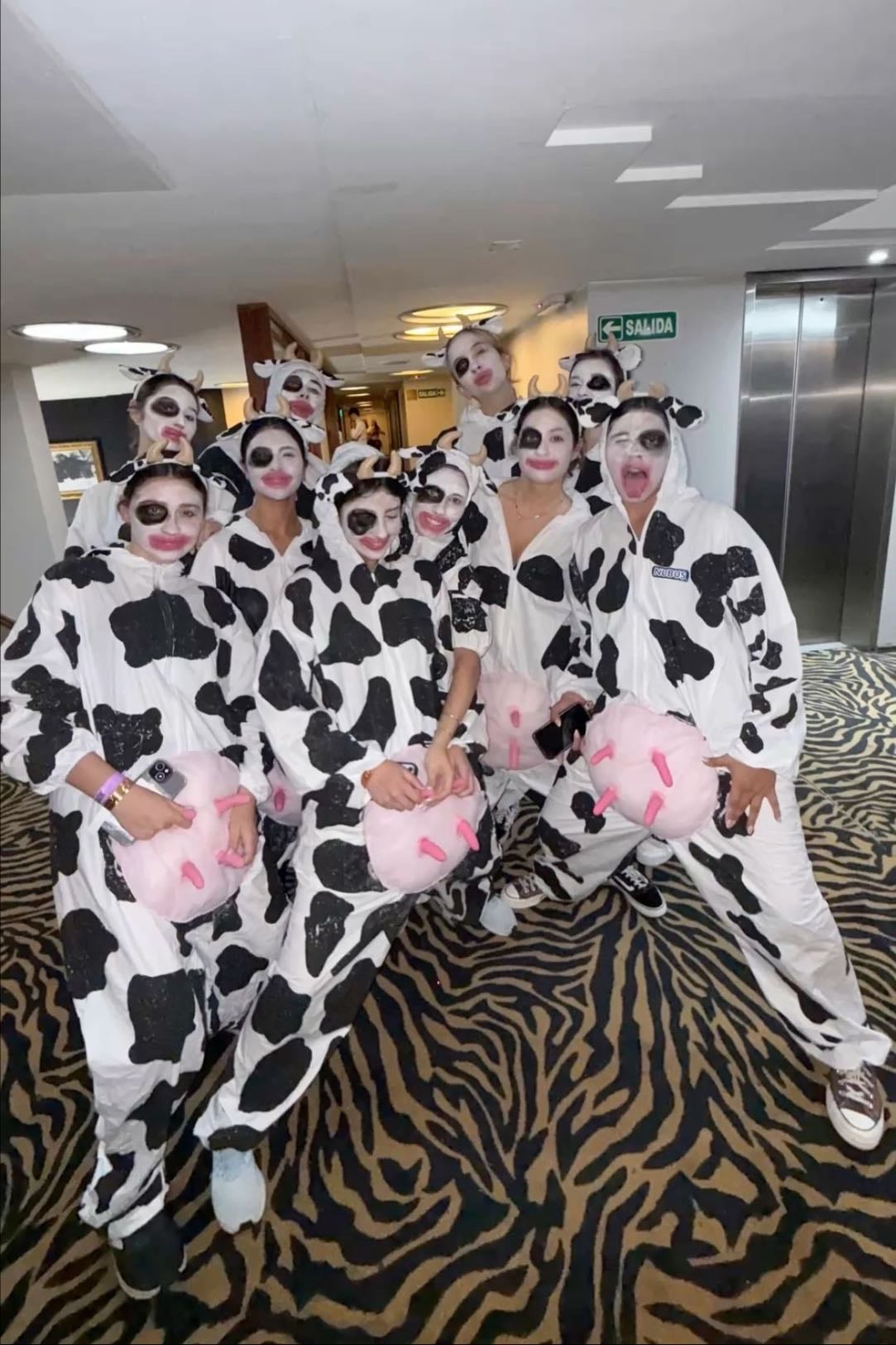 vacas