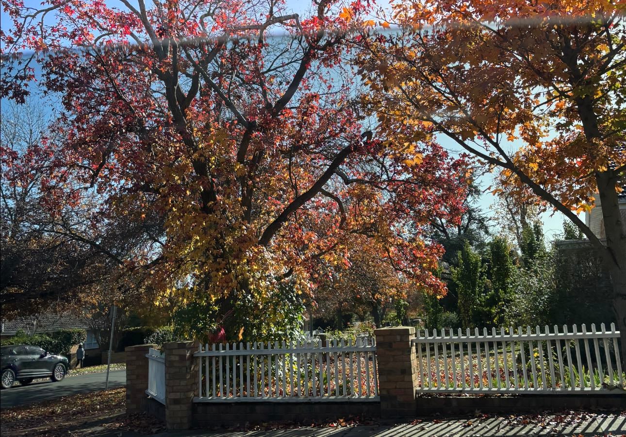 Autumn / Gilmore Girls Vibes 🍂🍁
