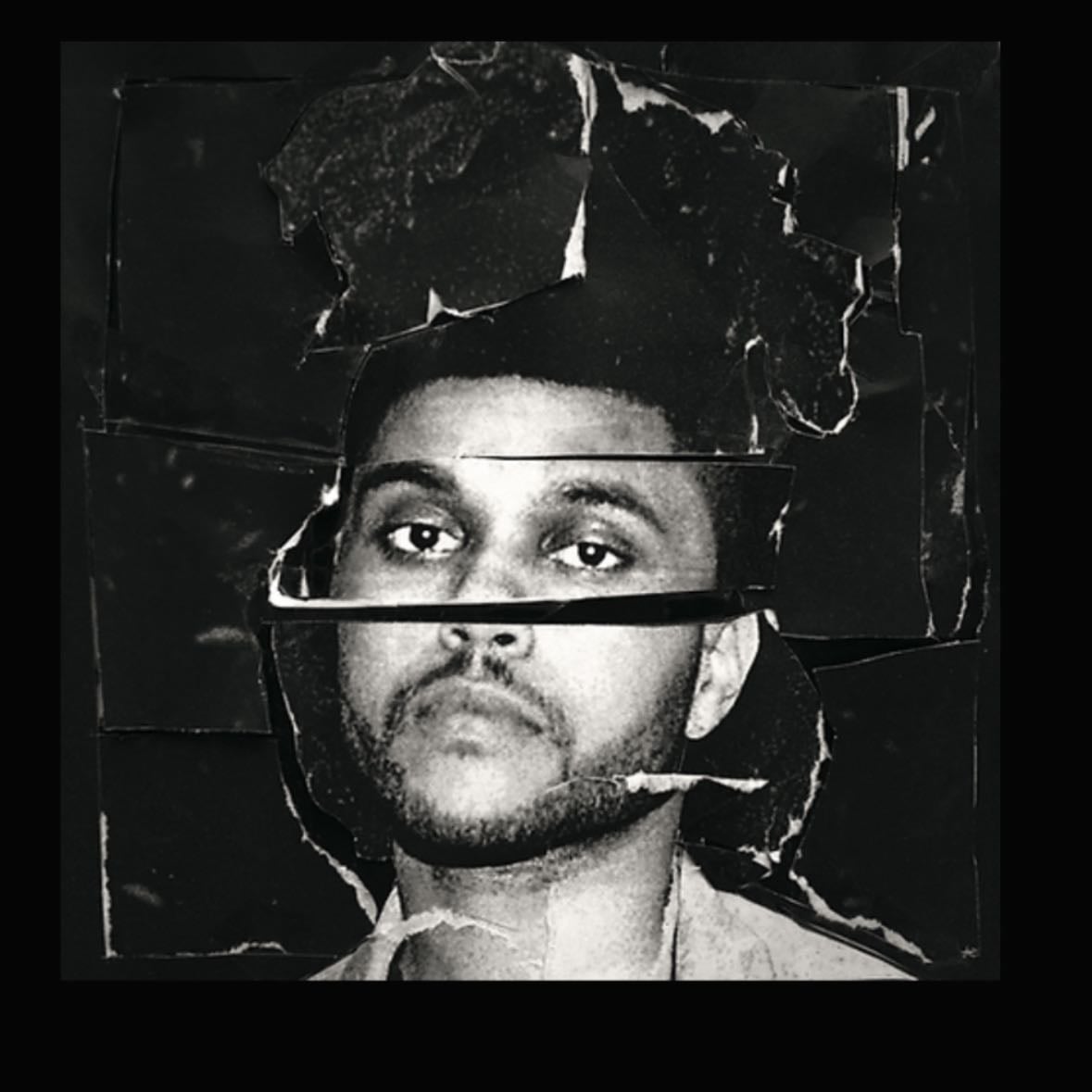 Vinil Beauty behind the madness