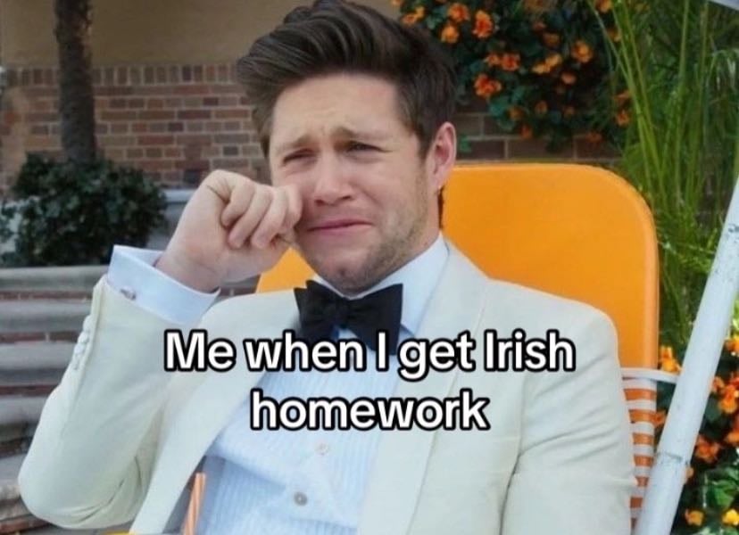 Niall horan 🤌 - Music hypelist by Lou