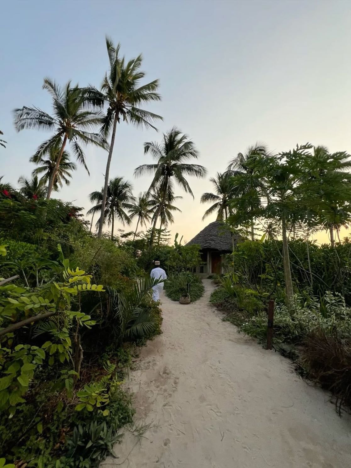 Zanzibar Island