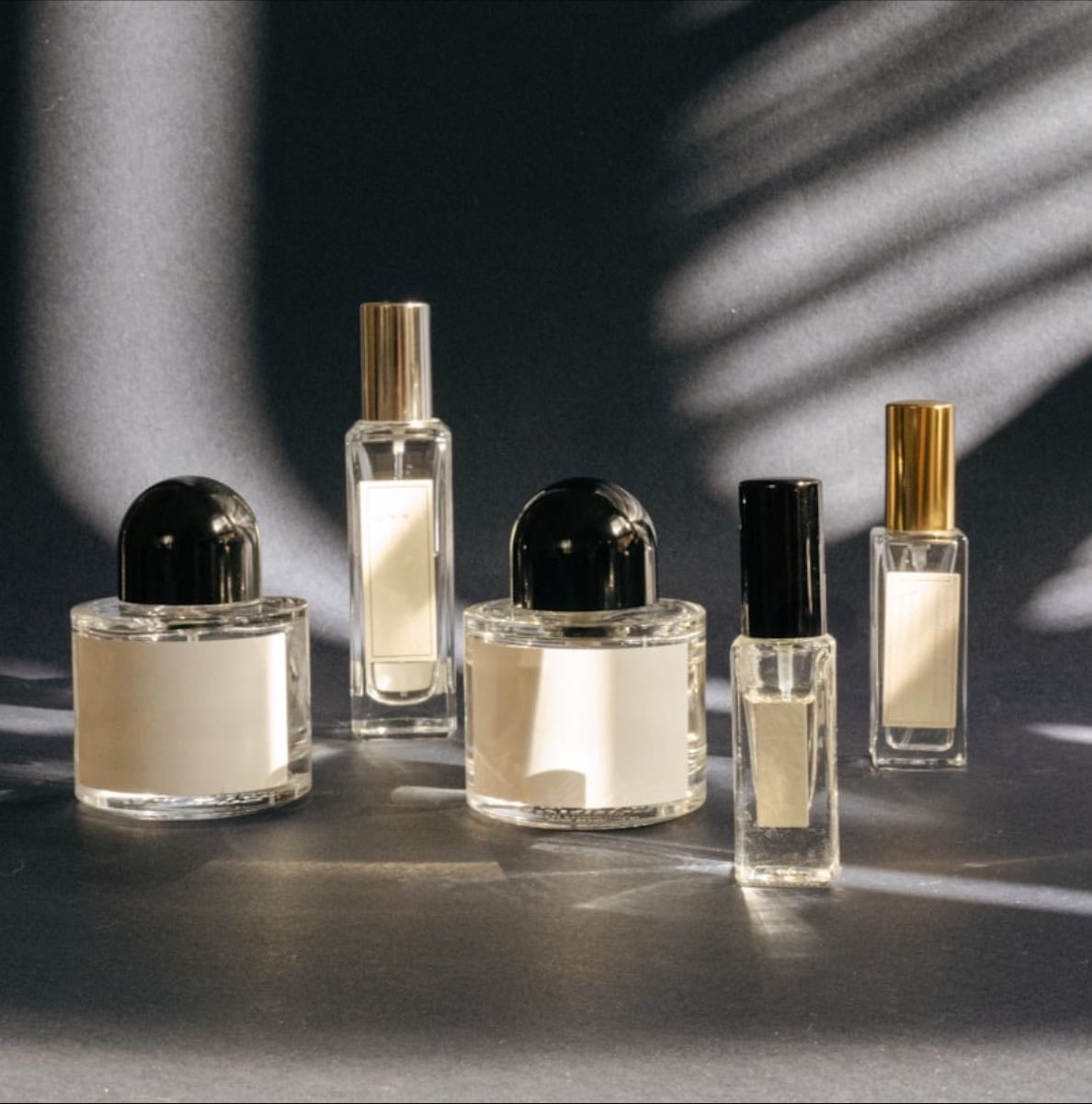 fragrance.