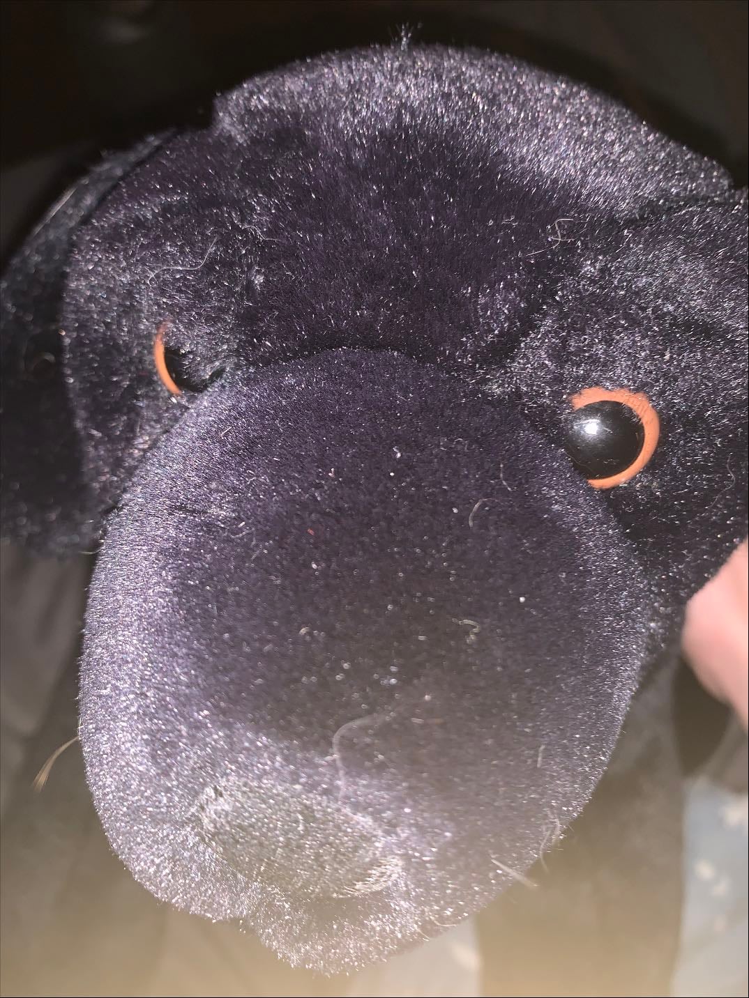 nameless dog - fav stuffed animal