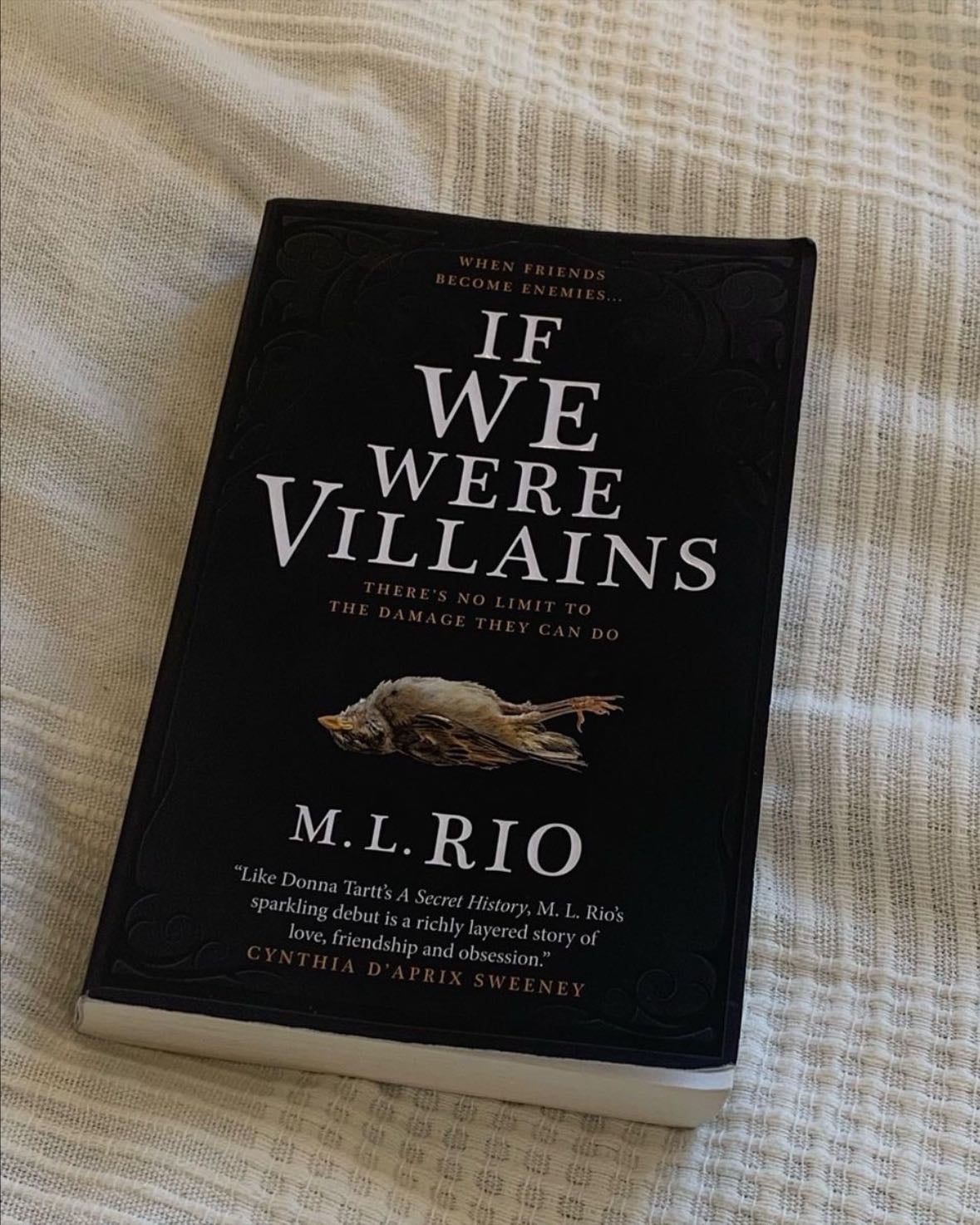If We Were Villains - M.L.Rio