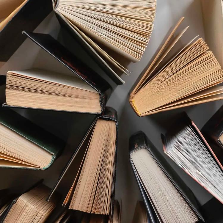 Libros y más libros - Toda mi personalidad se basa en libros y en saber de autores, de haber leído cualquier tipo de libro y disfrutado y odiado muchos. No sé qué sería de mí sin tener los libros acompañándome desde mis pequeños años de edad. Ellos nunca me han abandonado