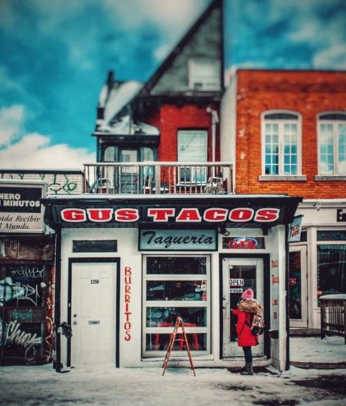 Gus Tacos - taco