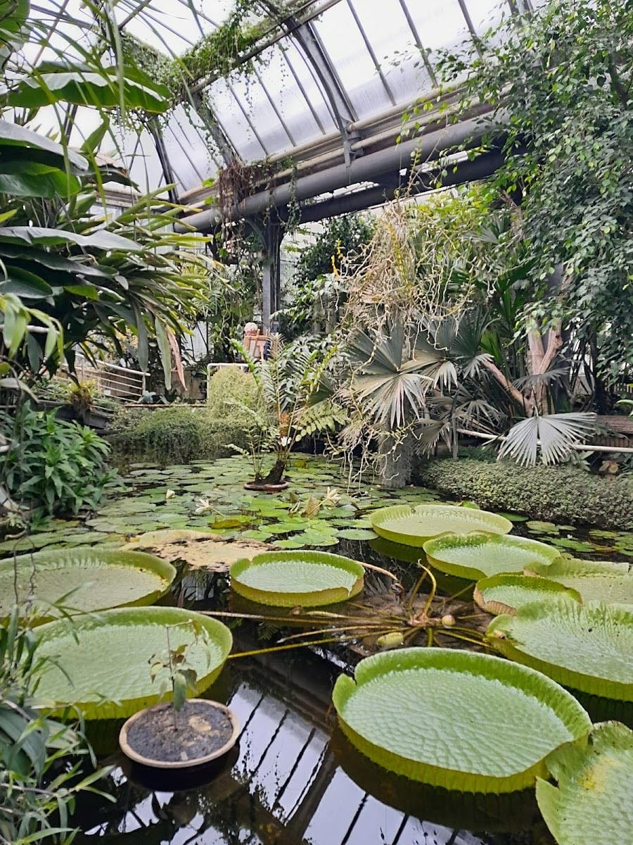 Botanical Garden of Faculty of Charles University in Prague