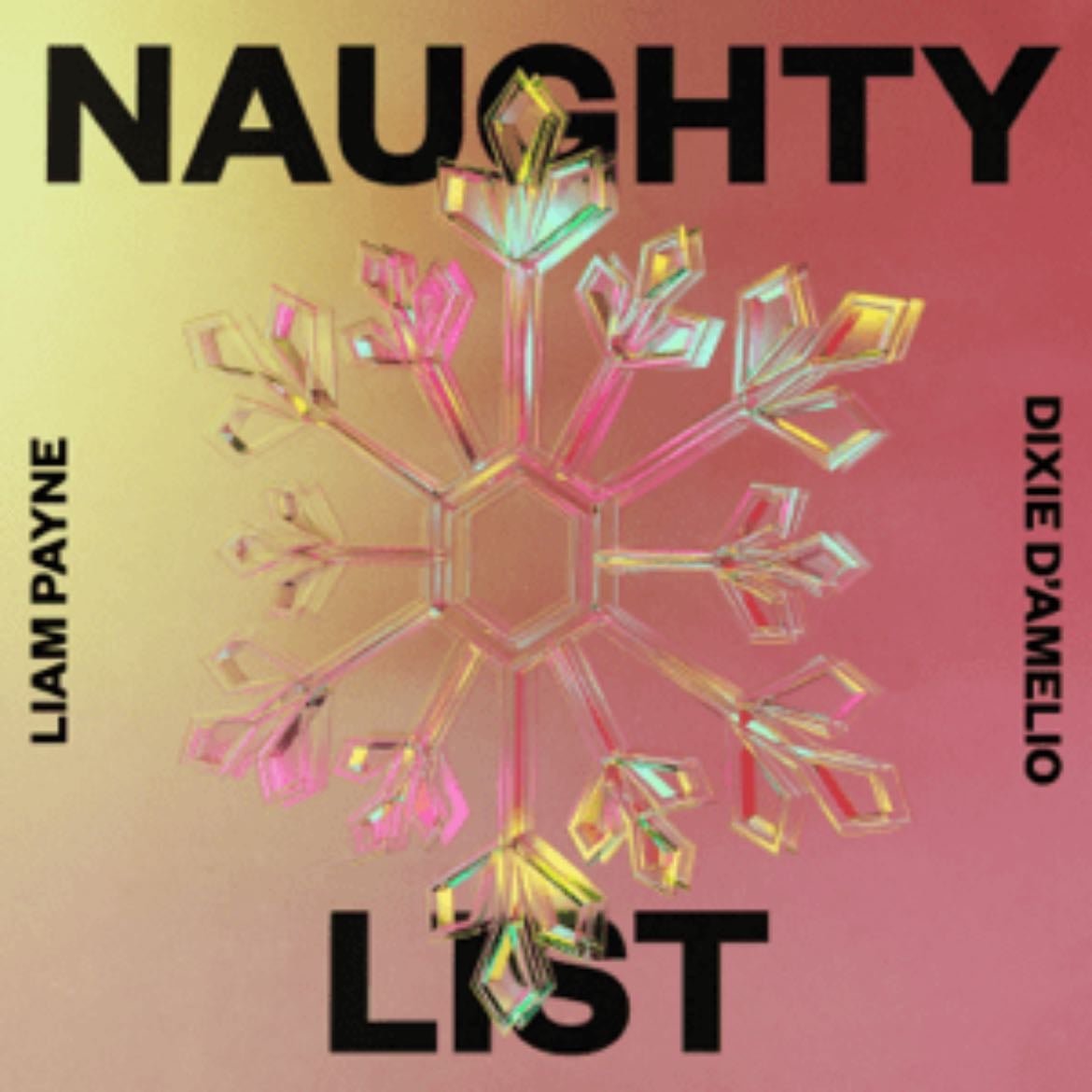 Naughty List - Song 路 Liam Payne, Dixie