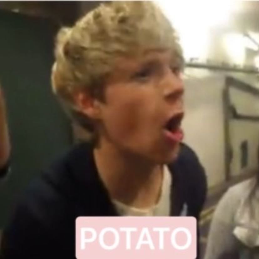 POTATO!!!