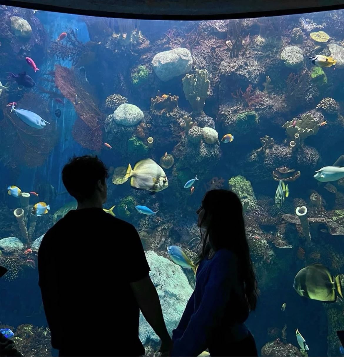 Aquarium