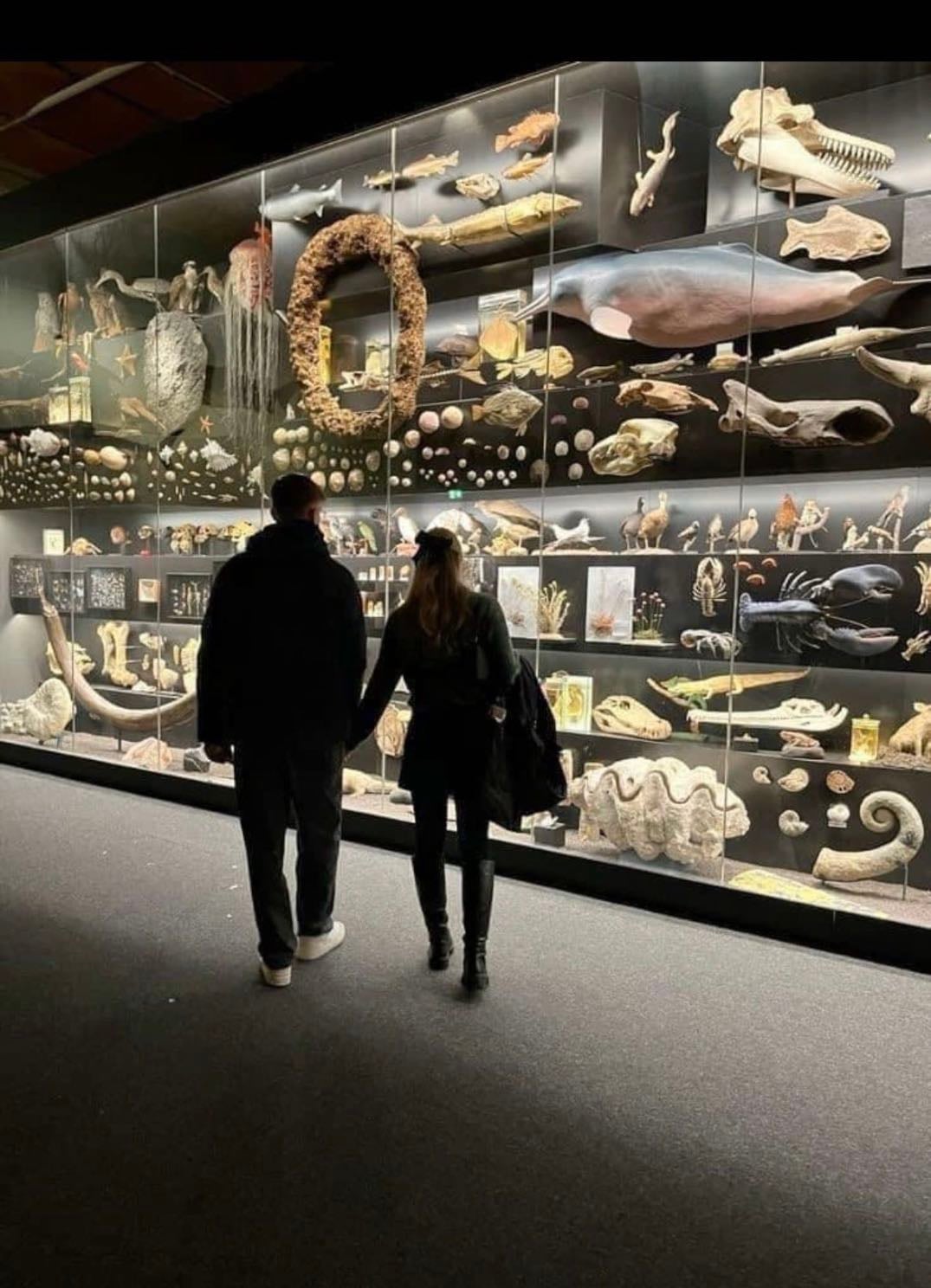 Museum
