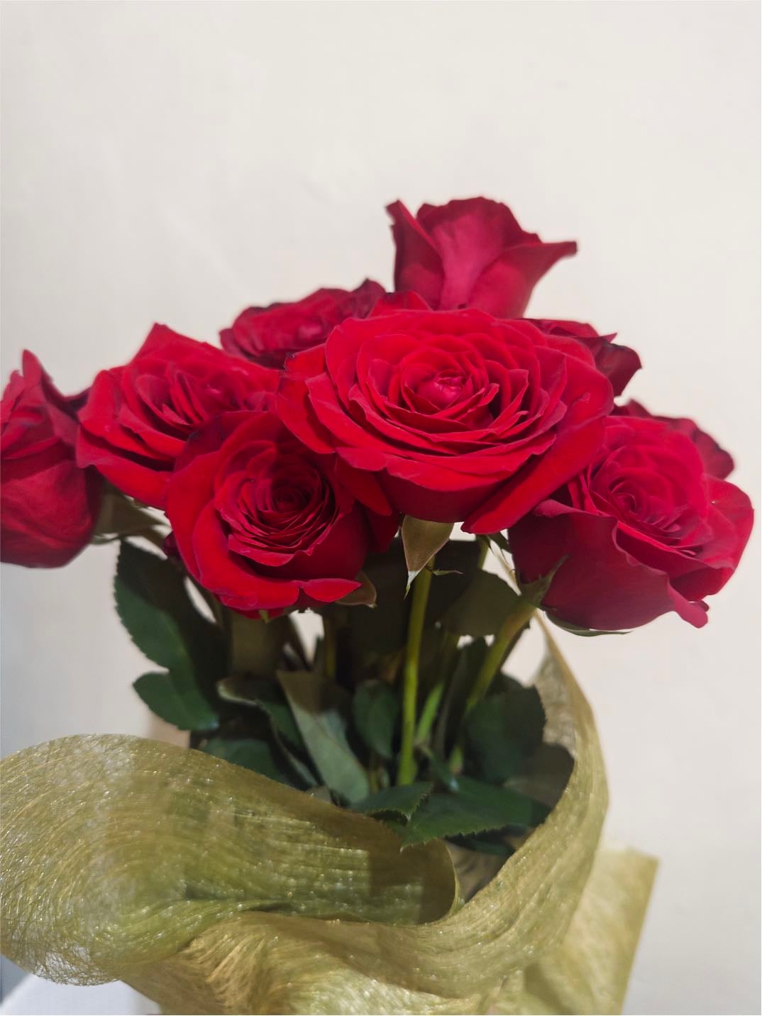 Rosas rojas
