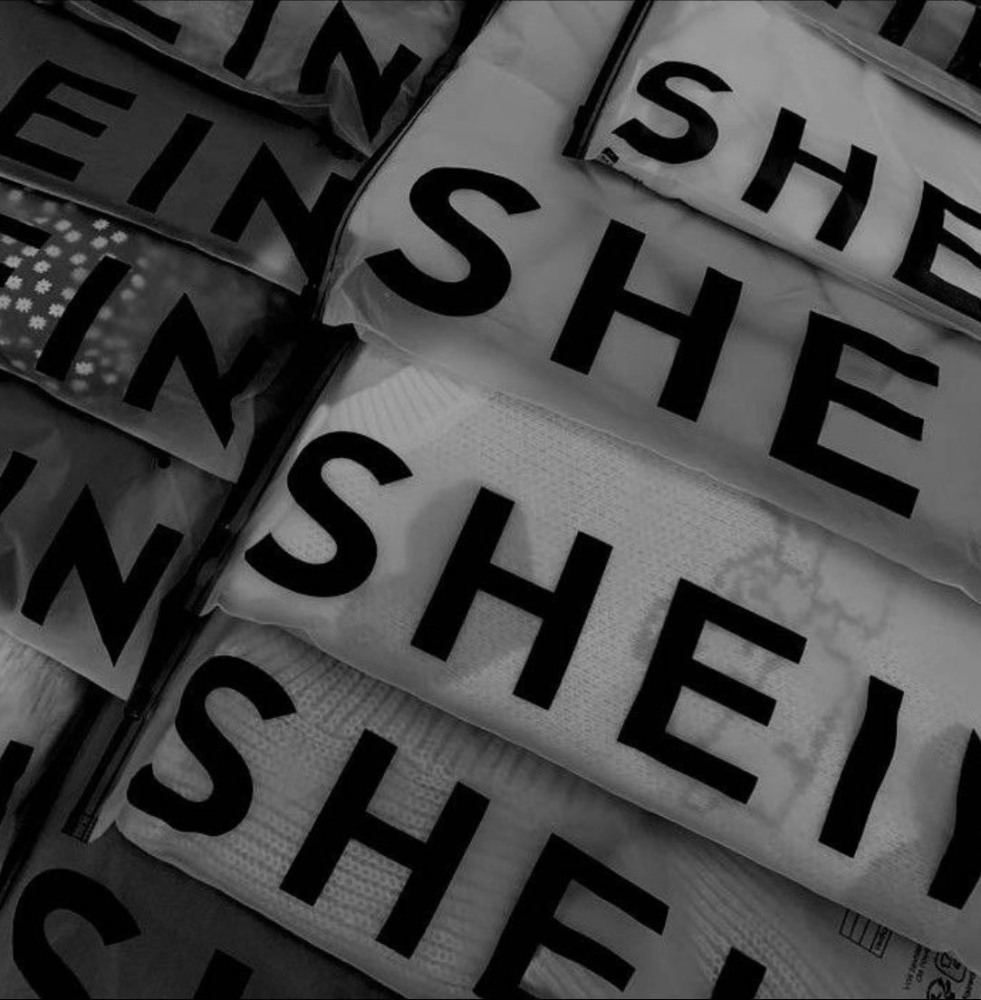 shein finds!