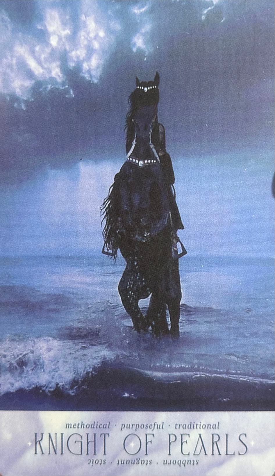 12. knight of pentacles - 12. caballero de oros