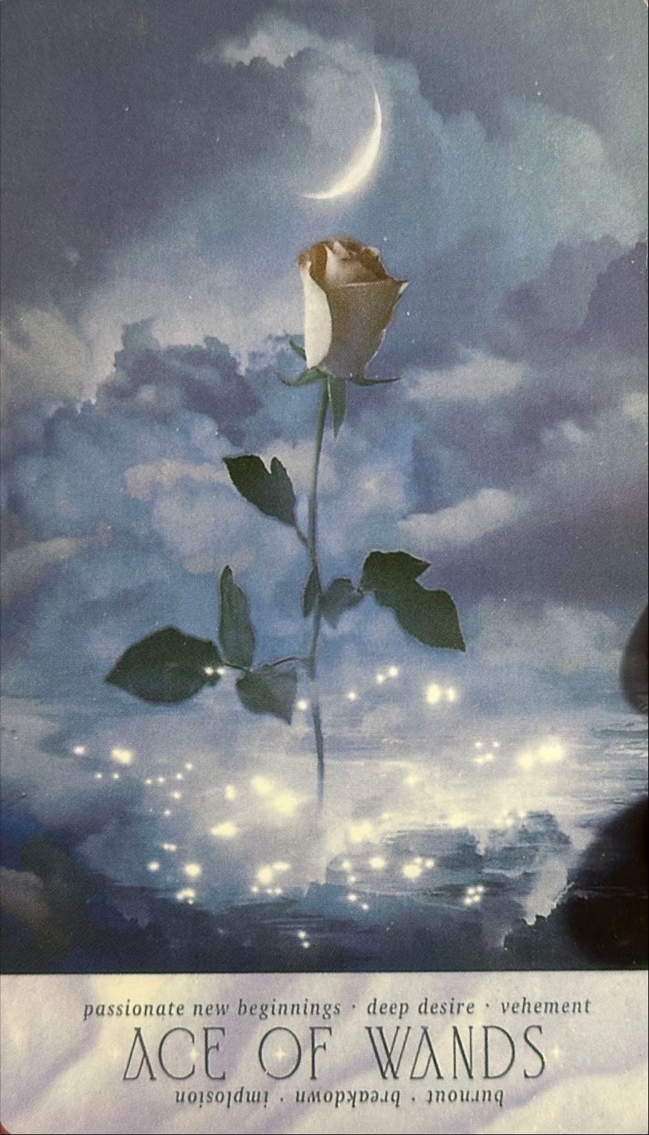 1. ace of wands - 1. as de bastos