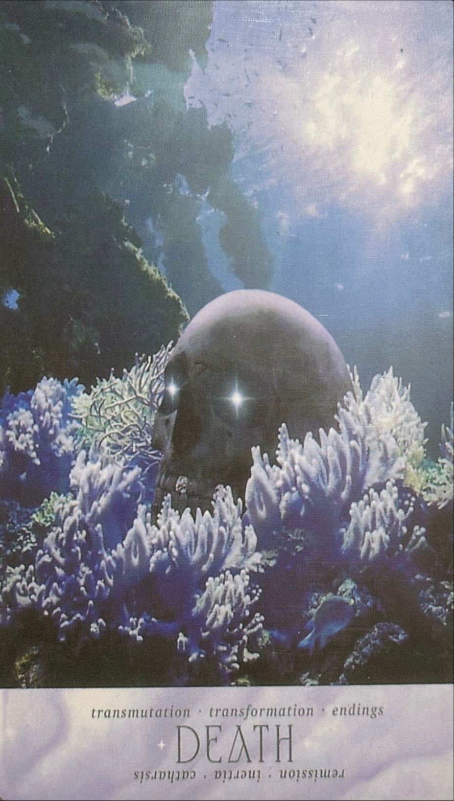 13. death - 13. la muerte