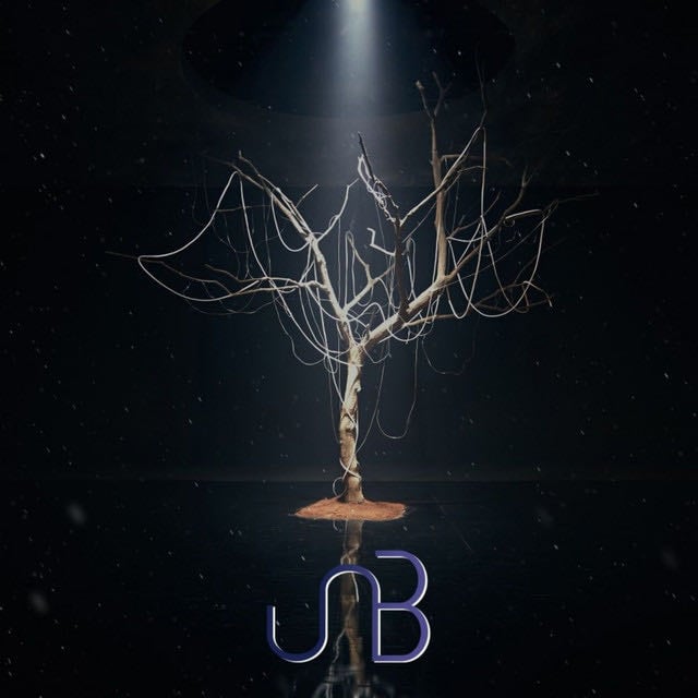 UNB - Artist