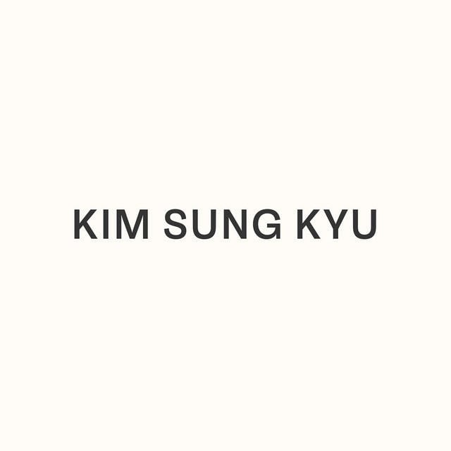 Kim Sung Kyu - Artist