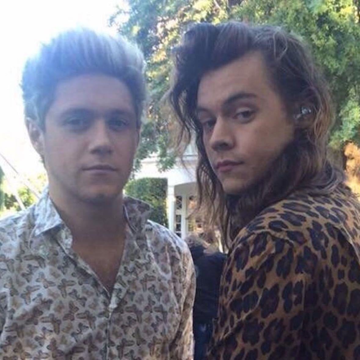 Favorite member - I definitely like Niall and Harry the most so yeah