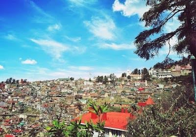 Shimla