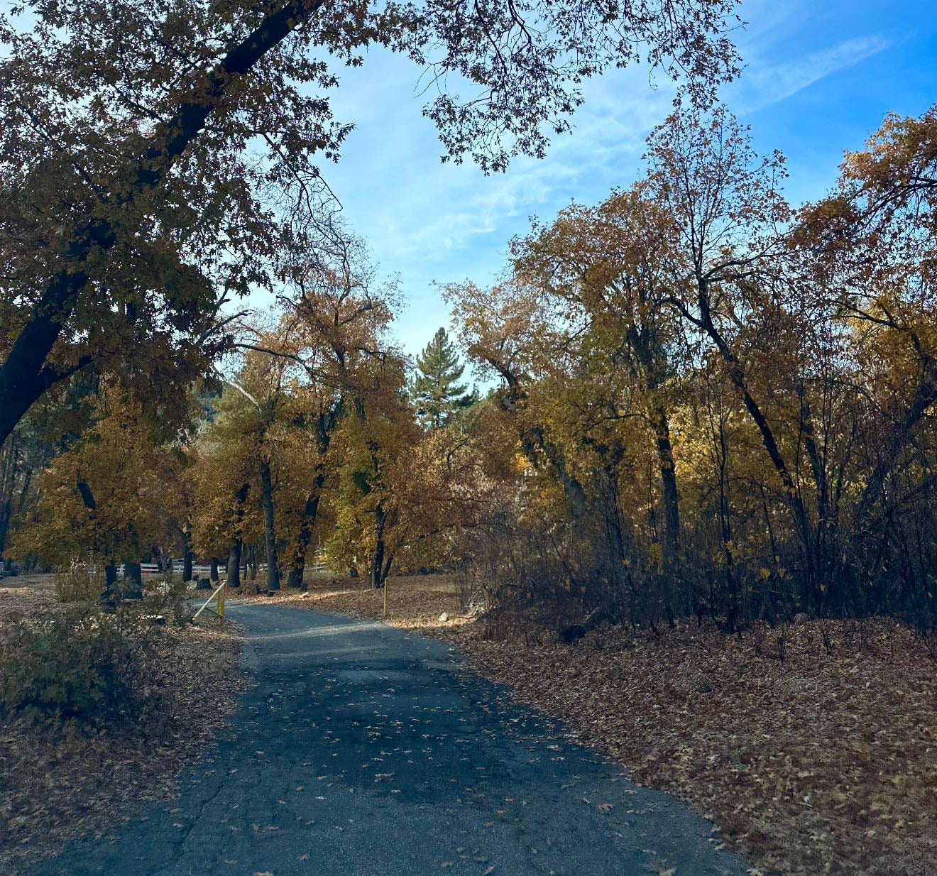 the ultimate fall playlist