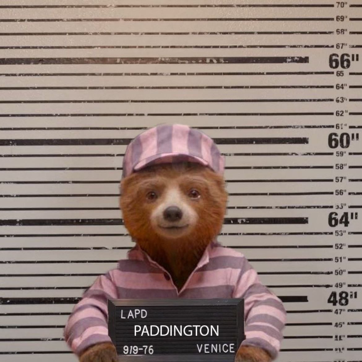 The Paddington bear experience