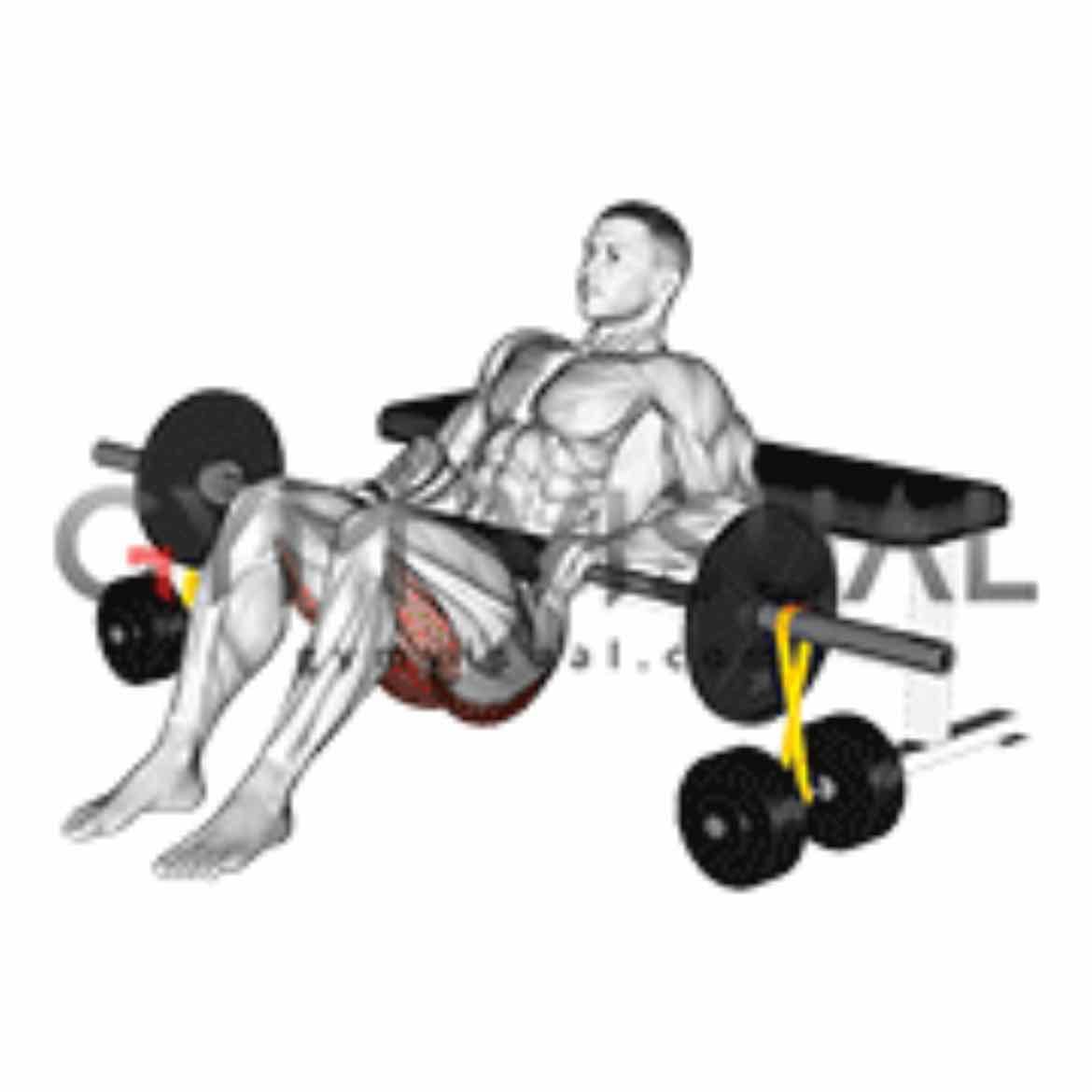 Hip thrust resistance band multipower