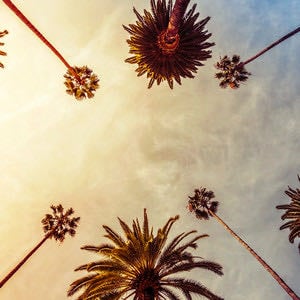 The OC Soundtrack (All Seasons) - Playlist