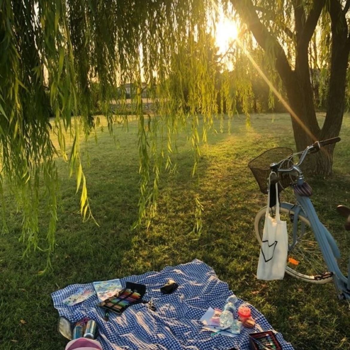 picnic