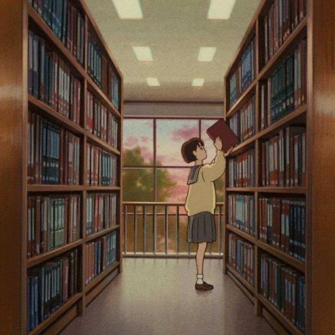 going to the media library