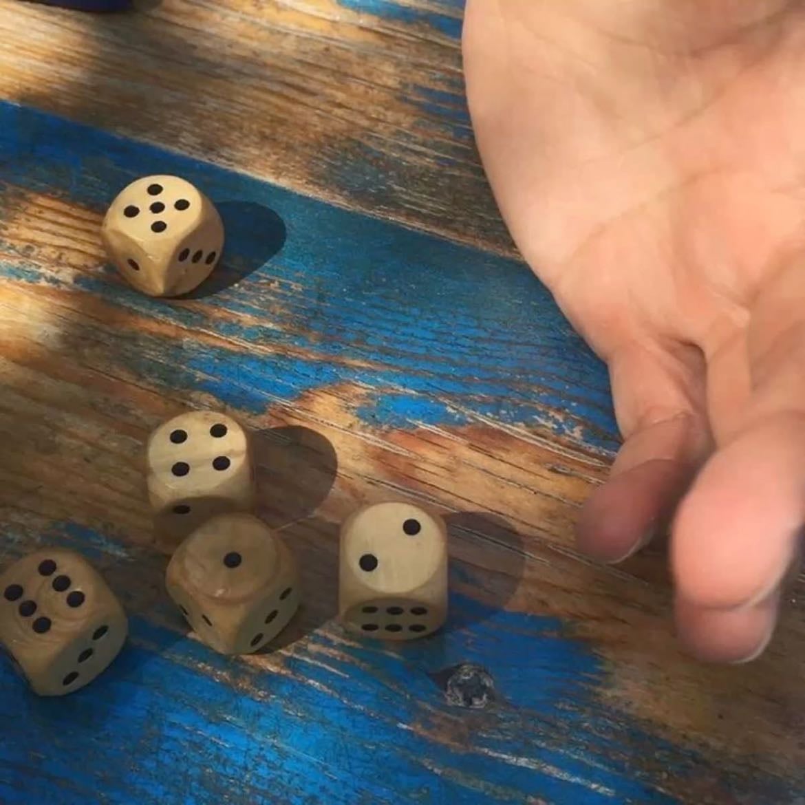 play video games/board games