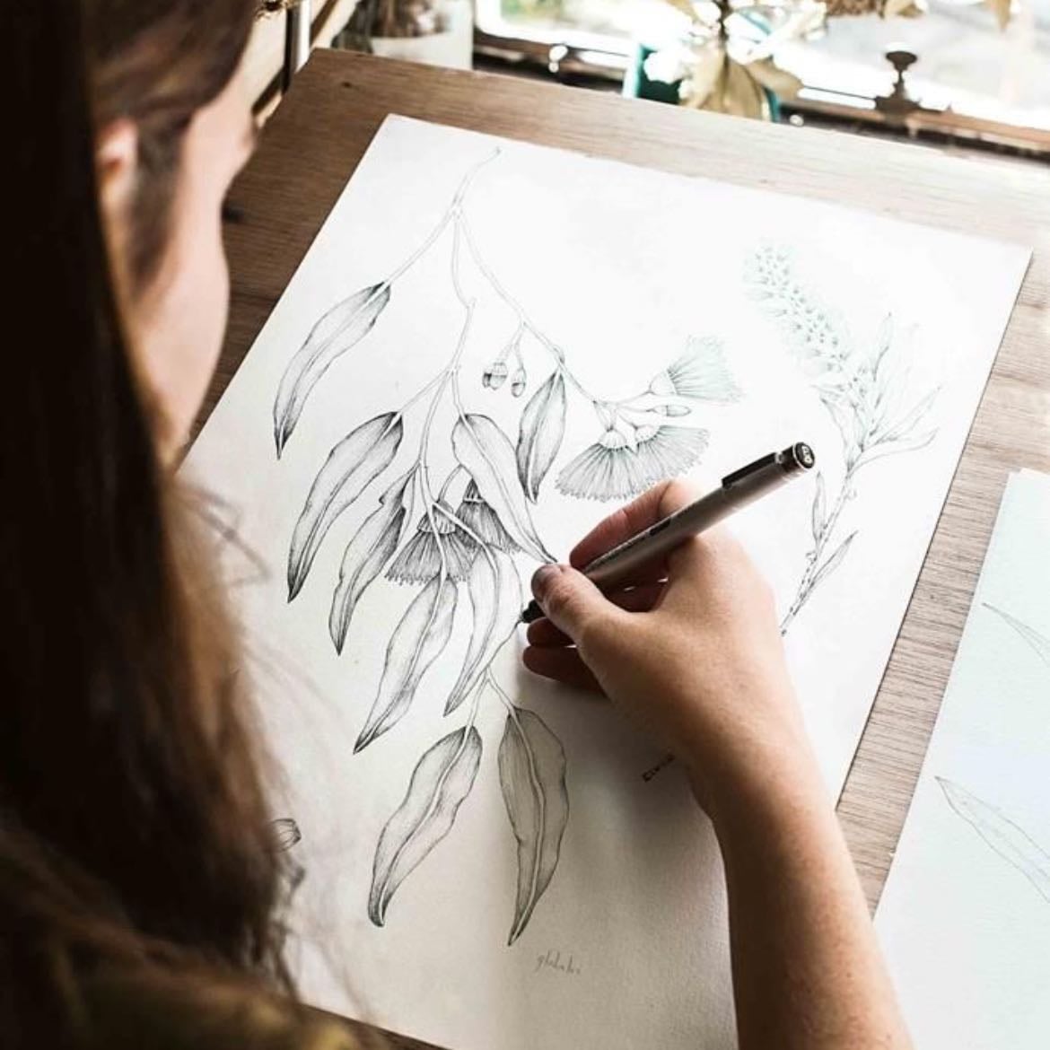 drawing