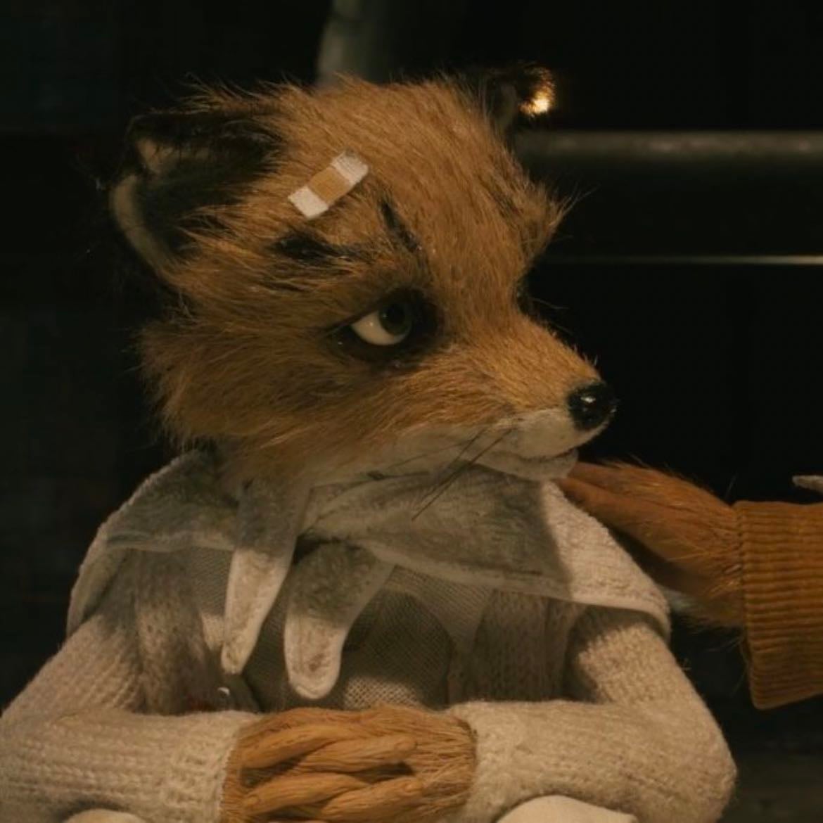ash - fantastic mr fox