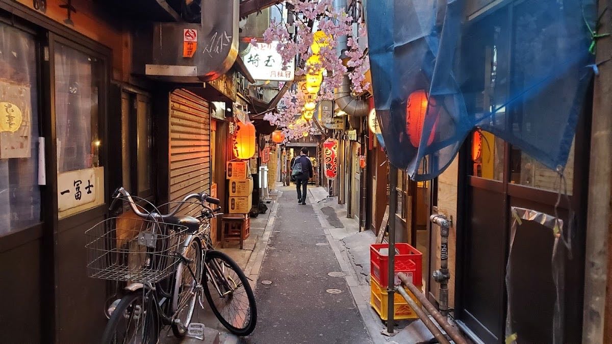 Omoide-Yokochō - Cute little alleys with food and stalls serving yakitori, noodles and boozy bevs. A must visit.