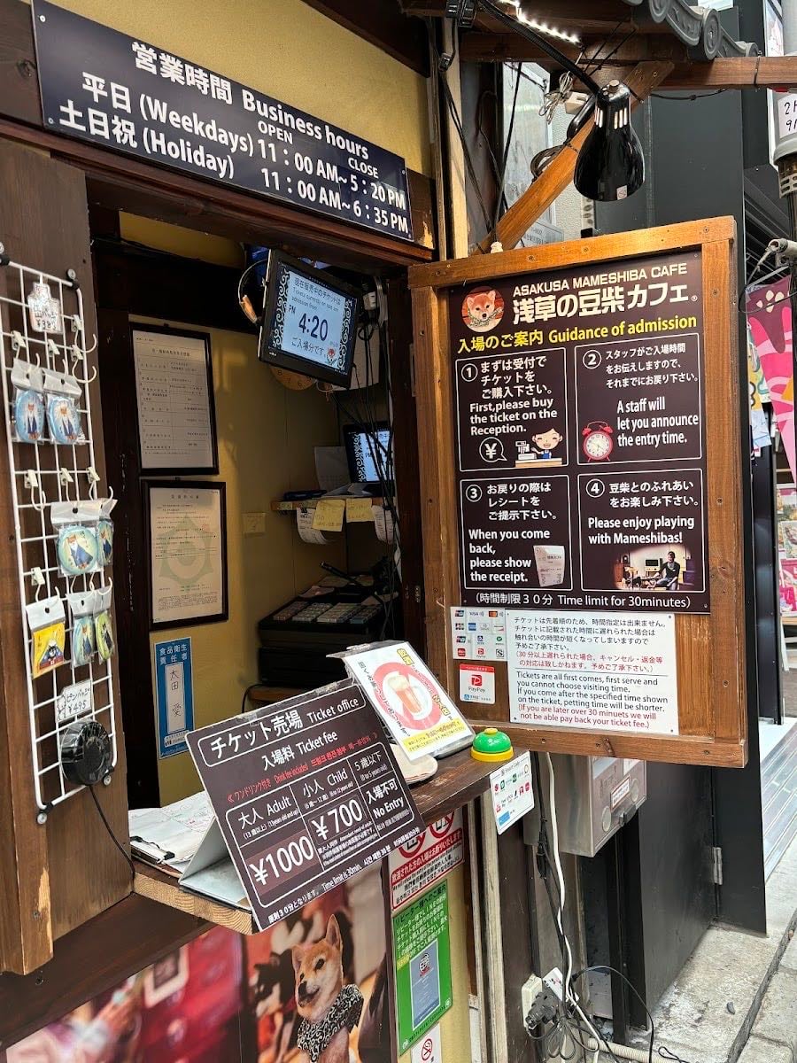 Asakusa's Mameshiba Cafe - Shiba Inu cafe.