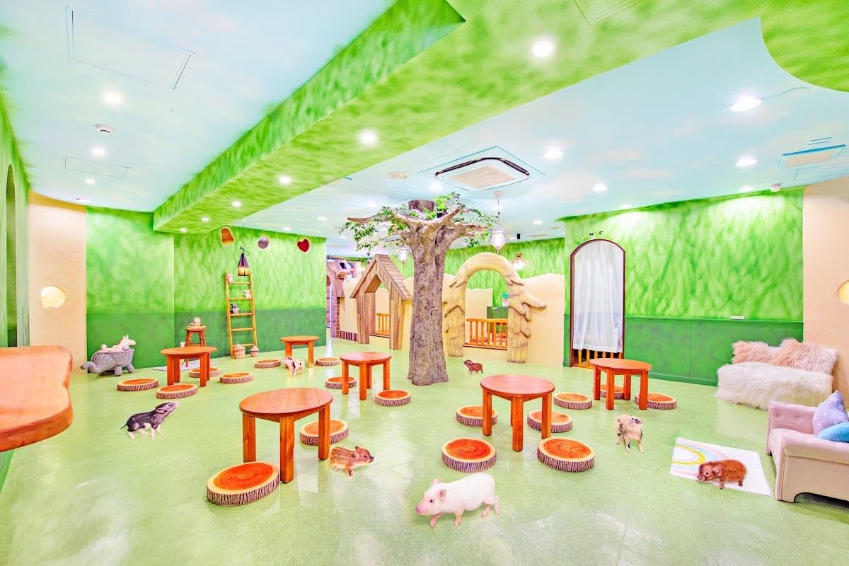mipig cafe Harajuku - Micro pigs. Enough said. Book this a month in advance.